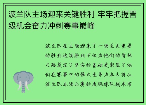 波兰队主场迎来关键胜利 牢牢把握晋级机会奋力冲刺赛事巅峰